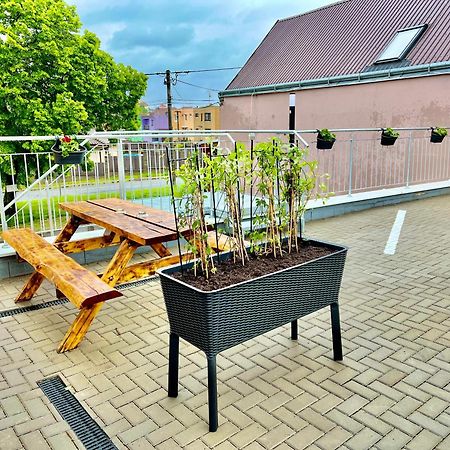 Penzion Bazen Vino Sklep U Palecku Zaječí Bagian luar foto